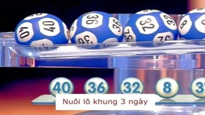 Nuôi lô khung 3 ngày - Bí quyết tối ưu hóa lợi nhuận