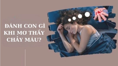 Mơ thấy chảy máu đánh số gì chuẩn xác nhất? Giải mã chi tiết