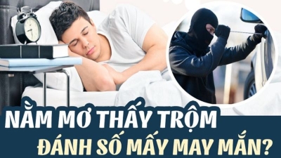 Mơ thấy ăn trộm - Giải mã và dự đoán số đề chuẩn xác